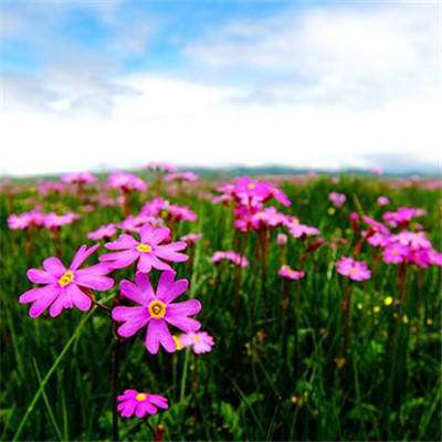 乐彩彩票welcome手机app下载截图